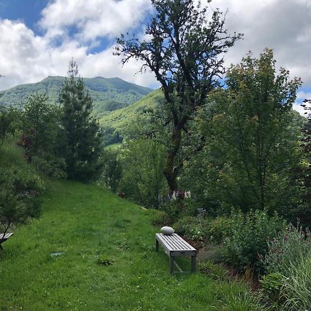 Au Rocher De Combieres Mandailles-Saint-Julien Экстерьер фото